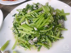 -林之六八·6886大连老菜馆