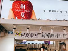 -树夏(建设路店)