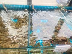 -渡海小渔村.老辈日照菜