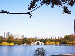 -成都南湖公园