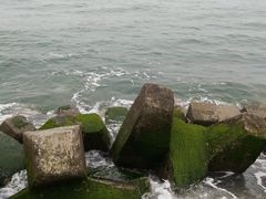 -八大关景区