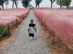 -汉长安城未央宫国家考古遗址公园