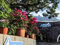 -七仙岭温泉国家森林公园
