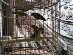 -鱼桥巷·美学川菜