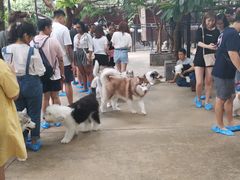 -TrueLove @ Neverland (Husky Cafe)