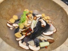 -云海肴云南菜·蒸汽石锅鱼(青岛万象城店)