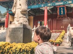 -北京国子监胡同