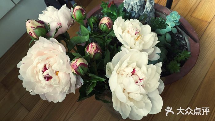 yoyobear1988上传的图片