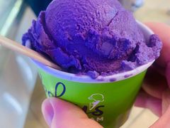 -Dooley's Premium Ice Cream