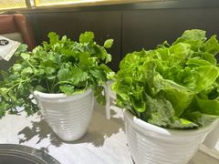 -百岁我家酸菜鱼(龙湾万达店)