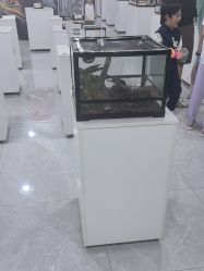-神奇动物撸宠馆·羊驼·小浣熊·异宠(豫园店)