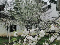 -堤角公园
