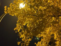 -山东大学(千佛山校区)