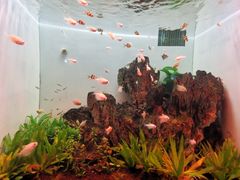 -多彩贵州城极地海洋世界