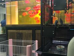 -米卢宠物公园(广华居店)