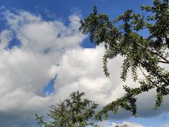 -四川大学(望江校区)