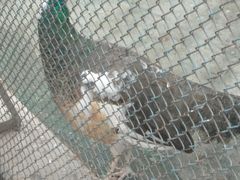 -陕西自然博物馆