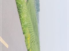 -游子山休闲旅游区