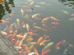 -荆川公园
