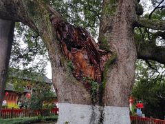 -新安江山水画廊风景区