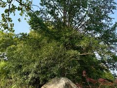 -新荣记(西溪湿地店)