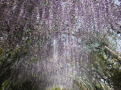 -同里国家湿地公园