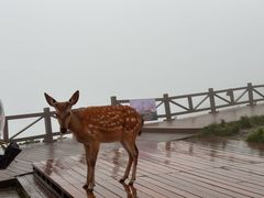 -萍乡武功山风景名胜区