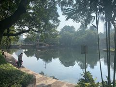 -晓港公园
