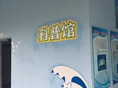 -广东惠东海龟国家级自然保护区