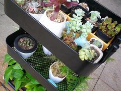 -蜗牛单车咖啡(银座购物广场东城店)