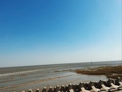 -南汇嘴观海公园