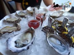 -Oyster Talks 四度蚝法餐厅