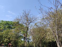 -东莞植物园