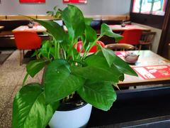 -炭舍干锅(华发商都店)