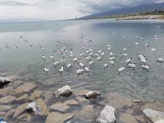 -青海湖国家重点风景名胜区