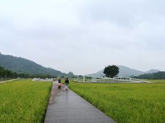 -艾米稻香小镇