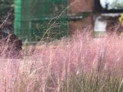 -张之洞与武汉博物馆