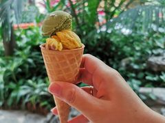 冰淇淋-白天鹅宾馆·流浮阁咖啡厅