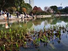 -昆山城市公园