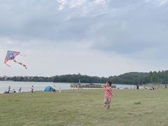 -仙湖旅游度假区