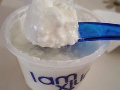 -西琳姑娘·新疆冰淇淋酸奶茶(南开大悦城店)