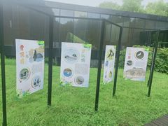 -同里国家湿地公园