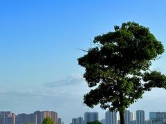 -汉长安城未央宫国家考古遗址公园