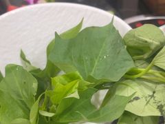 -美宁肥牛(旗舰店)