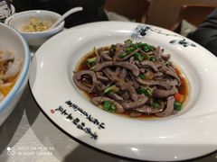 -丁老爷子苏香圆