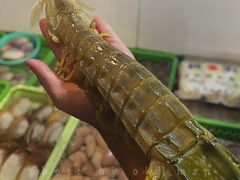 -凯华海鲜火锅·传承三十六年