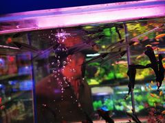 -三旗百汇商品城