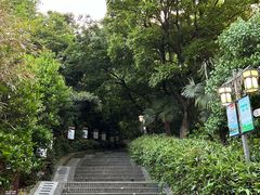 -伯先公园