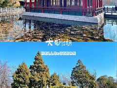 -济南大明湖景区