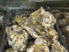 -渔民新村(番禺总店)